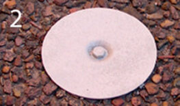 Alam-Eko-Termites02