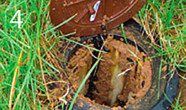 Alam-Eko-Termites04